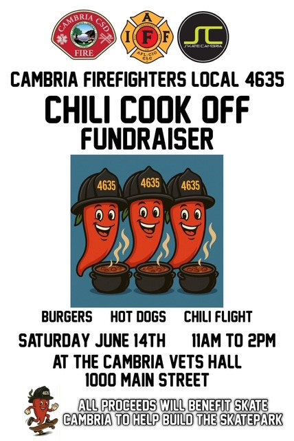 Youth Skate Park Cambria